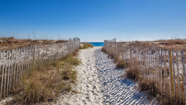 A sandy path leading to a beach with wooden fences on both sides. - Island Winds East 311 | Walk to the Hang Out | Beachview | My Beach Getaways (Gulf Shores)