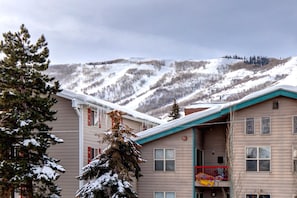 Ein zweistöckiges Gebäude mit Balkon, schneebedeckten Bäumen und einem Bergpanorama im Hintergrund.