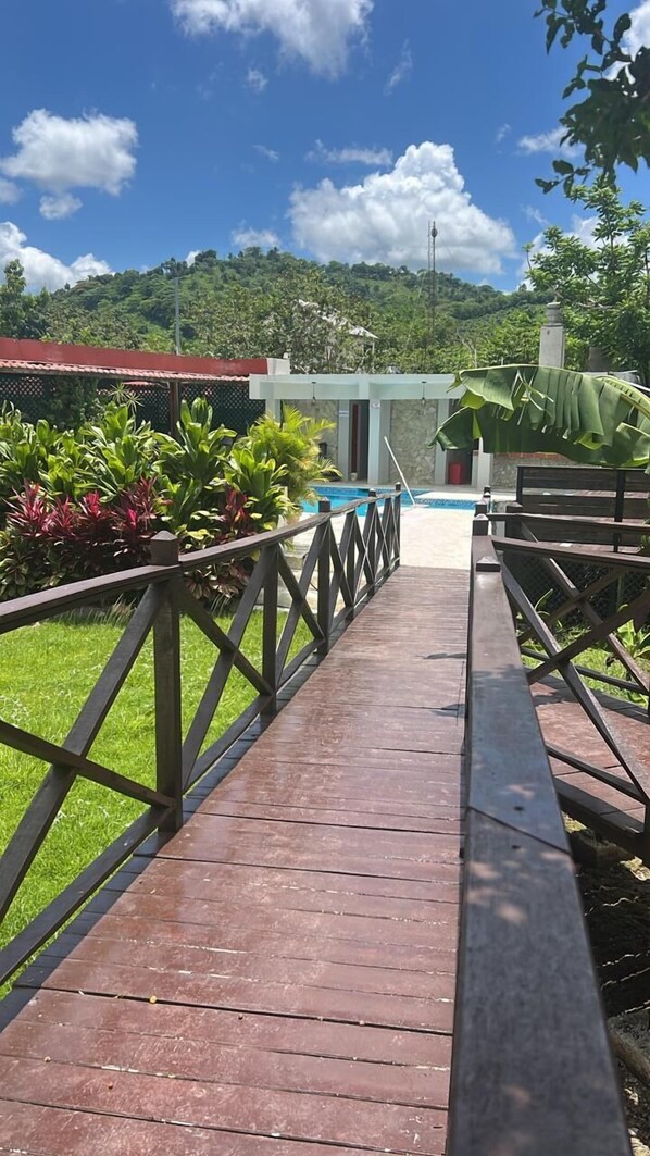 Outdoor pool, pool umbrellas, sun loungers