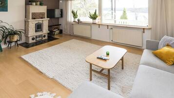 Fernseher