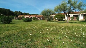Zona residencial con varias casas, un campo cubierto de césped y un árbol.