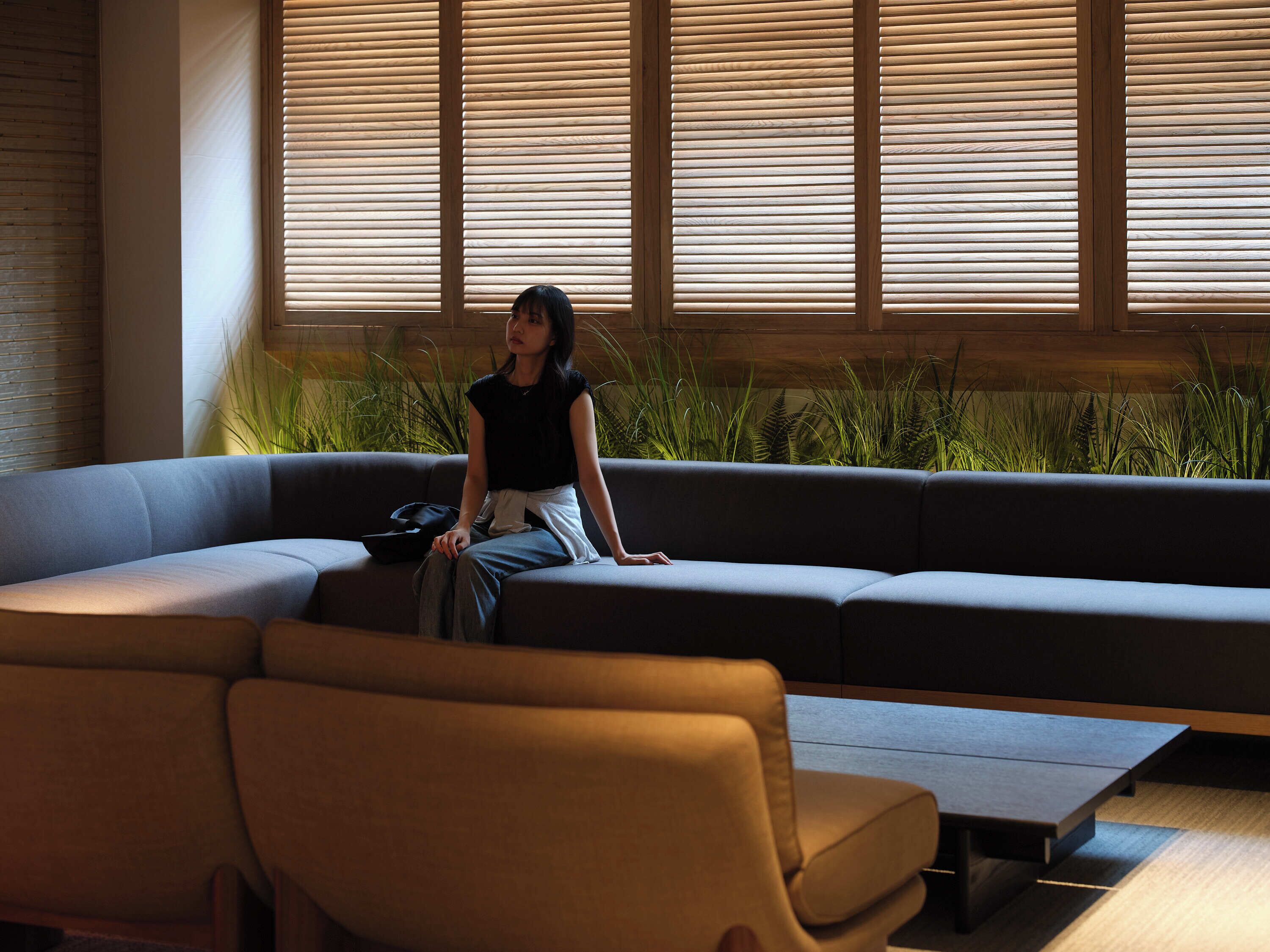 Una sala moderna con un sofá, una mesita de centro y una planta en maceta.