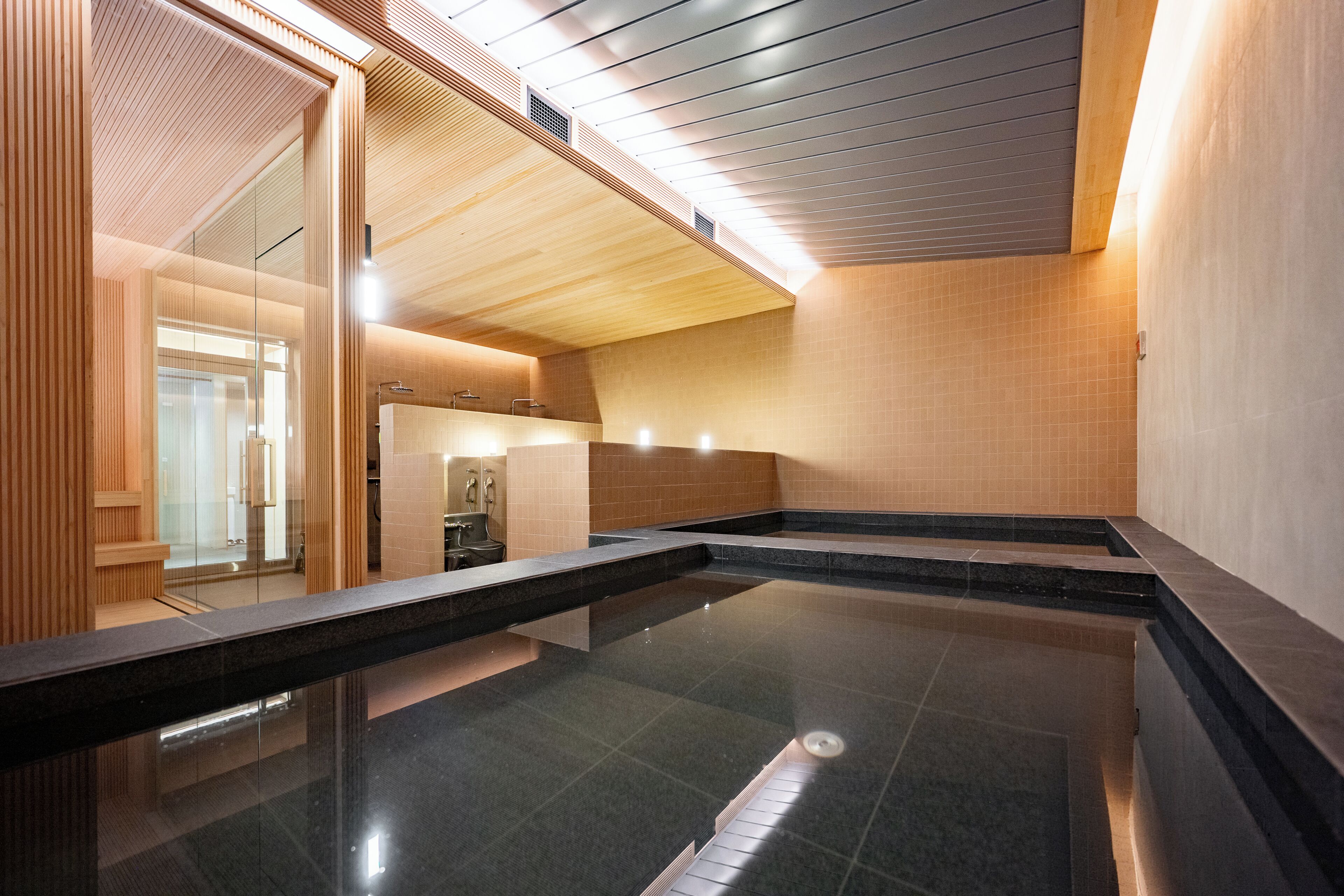 Sauna, hot tub