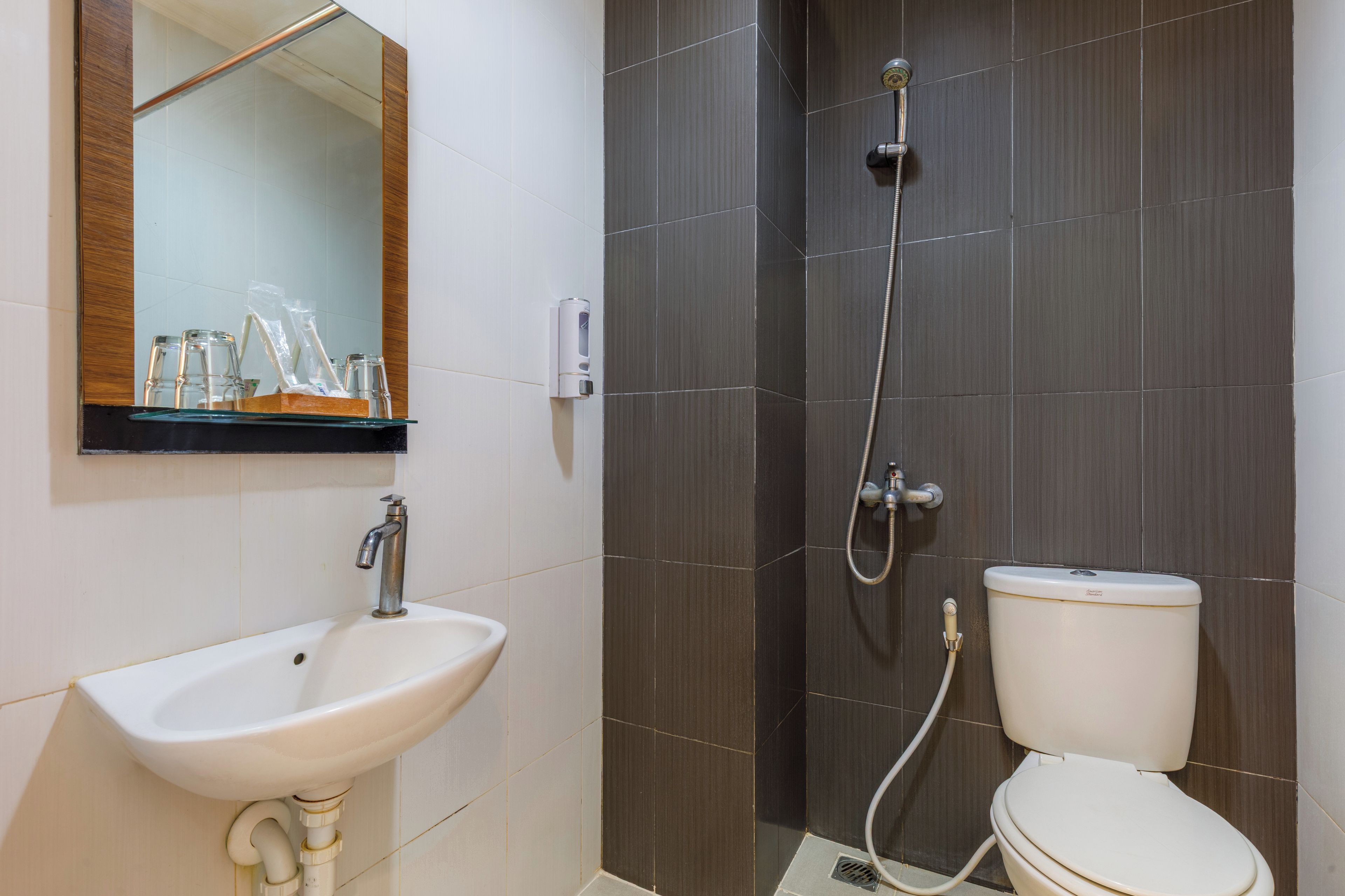A bathroom with a white sink, a mirror, a shower with a handheld showerhead, and a toilet.