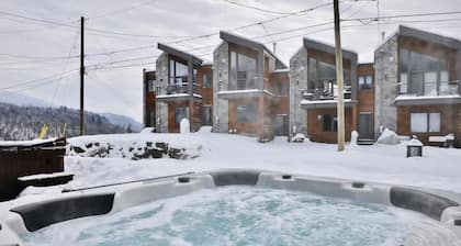 Le 29 - Summit Nest - Cozy ski/bike retreat
