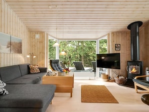 Fernseher, Kamin