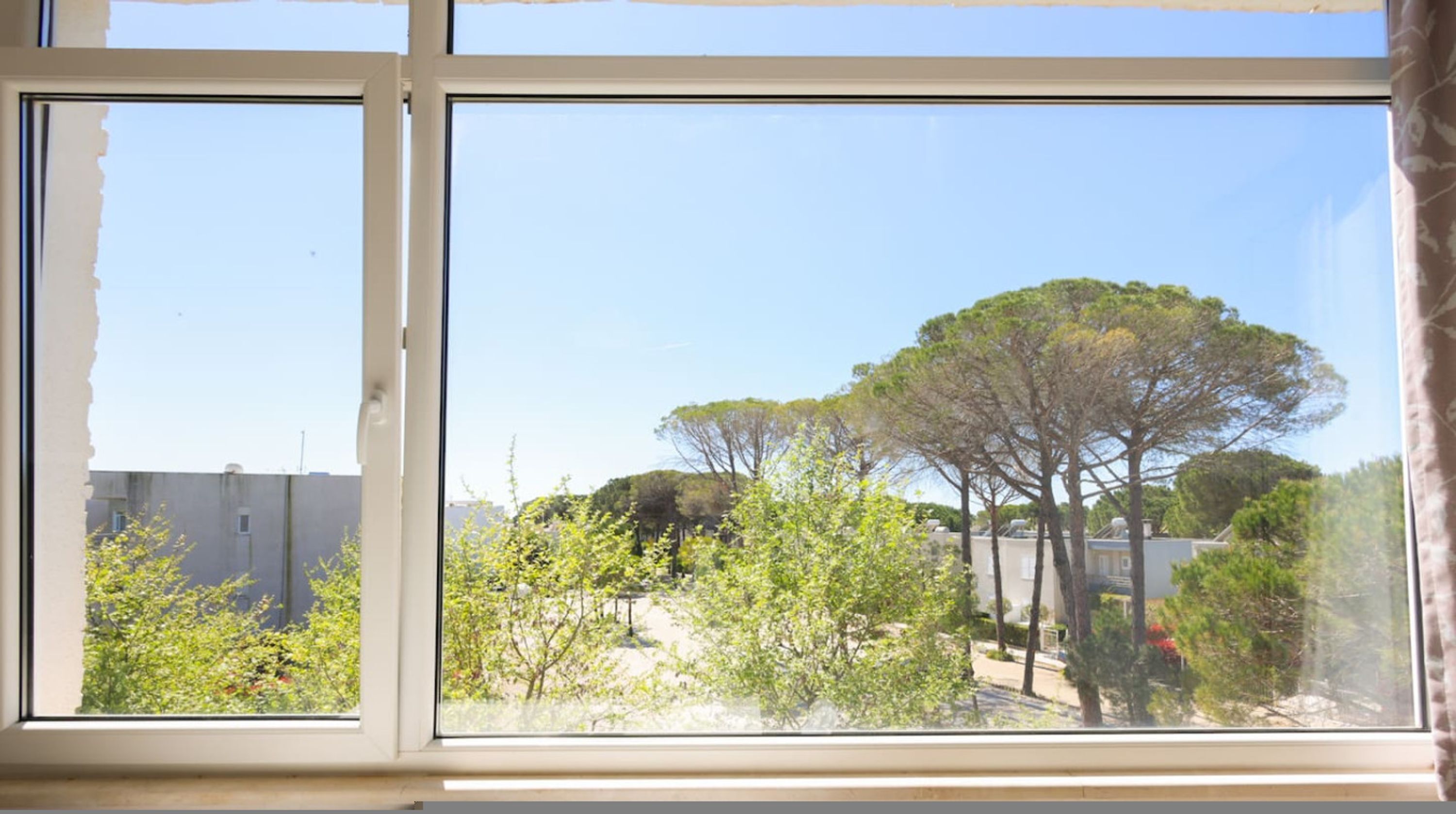 A window with a view of a tree-lined street and buildings.