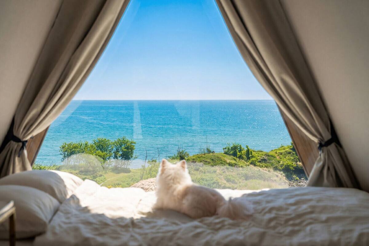 Una cama con vista al océano a través de cortinas.