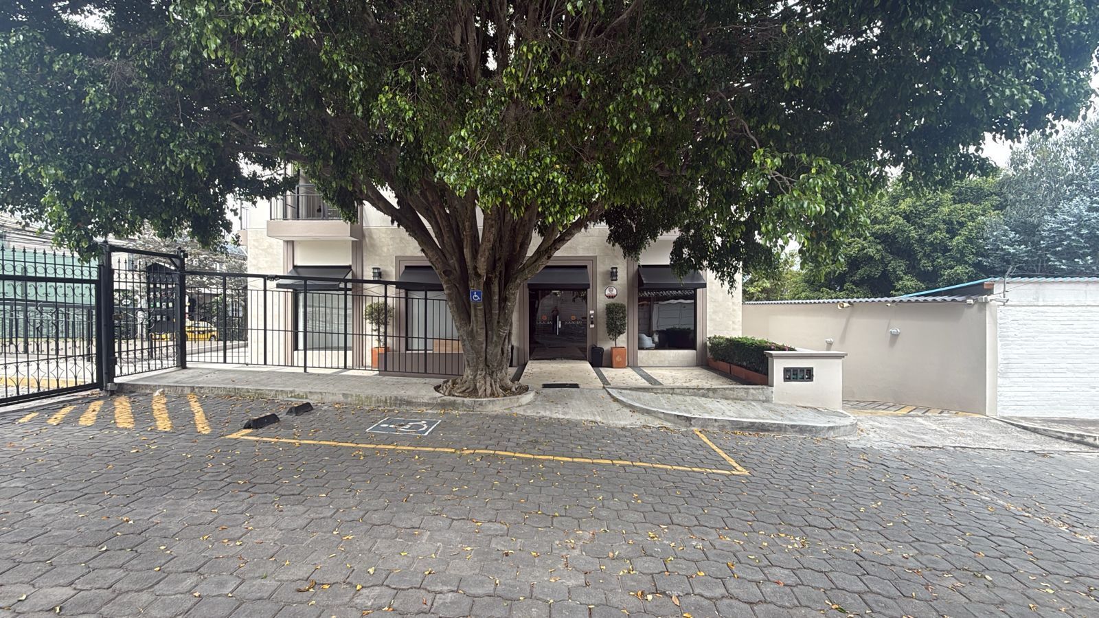 Une entrée d’immeuble avec un arbre, une zone pavée et une allée bordée de portails.
