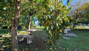 Property grounds - Holiday flat with communal garden (Bibione)