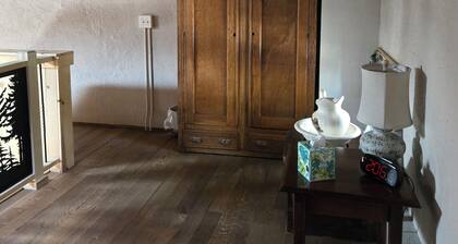 Historical, non Smoking, loft cottage with beautiful garden near Riverwalk