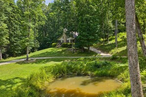 Property grounds - Lakeside Cabin minutes to Asheville (Buncombe County)