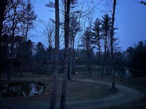 A forested area with a pond, a path, and a building in the background. - Lakeside Cabin minutes to Asheville (Buncombe County)