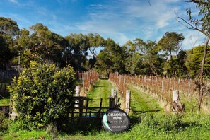 Property grounds - Gisborne Peak BlueGum Guest House (Gisborne)
