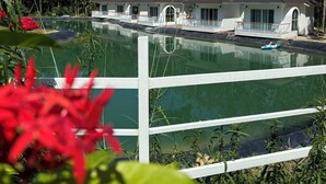 Un resort con piscina, vallas blancas y árboles al fondo.