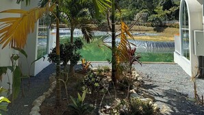 Un patio con una palmera, un pequeño estanque y una montaña al fondo.