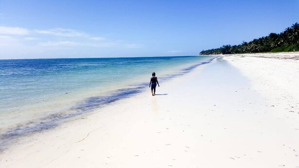 A beach with clear water and a person walking along the shore. - Koriwo Gardens Kikambala Home Away From Home ! (Mtwapa)