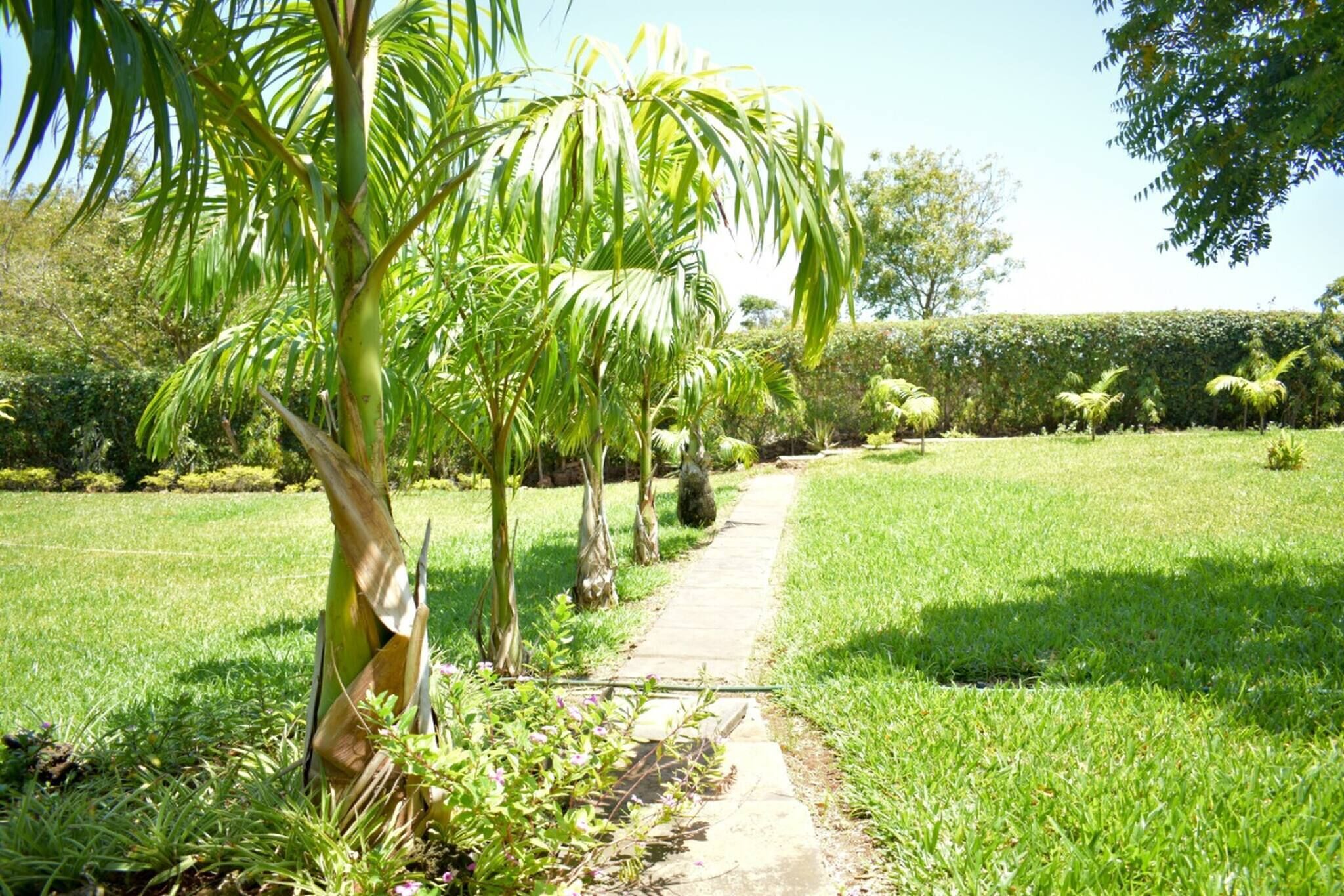 Bungalow, 3 Bedrooms, Accessible | Taman