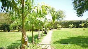 A pathway leading through a well-maintained garden with palm trees and a hedge in the background. - Koriwo Gardens Kikambala Home Away From Home ! (Mtwapa)
