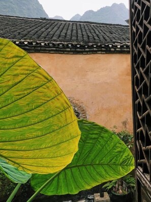 Detalle exterior