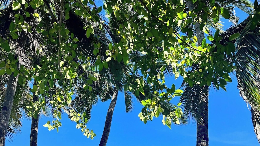 Solar-powered Hilltop Haven Boracay Beach Escape