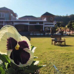 Property grounds - Tranquil Nature Resort (Dehradun)