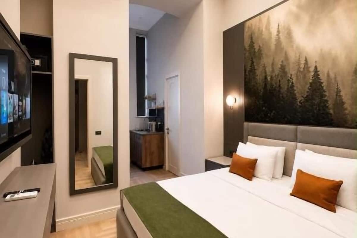 Standard Double Room, Courtyard View | Minibar, desk, laptop workspace, blackout drapes