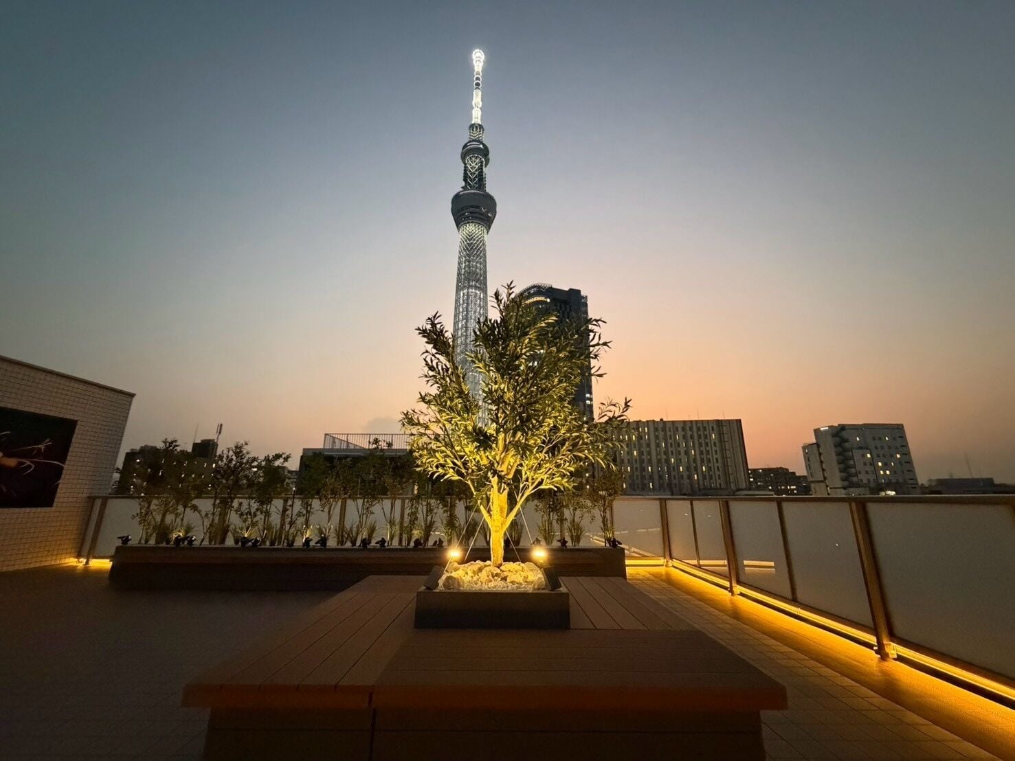 A nighttime view of a cityscape with a prominent tower, a landscaped area with a tree, and a building with a balcony.
