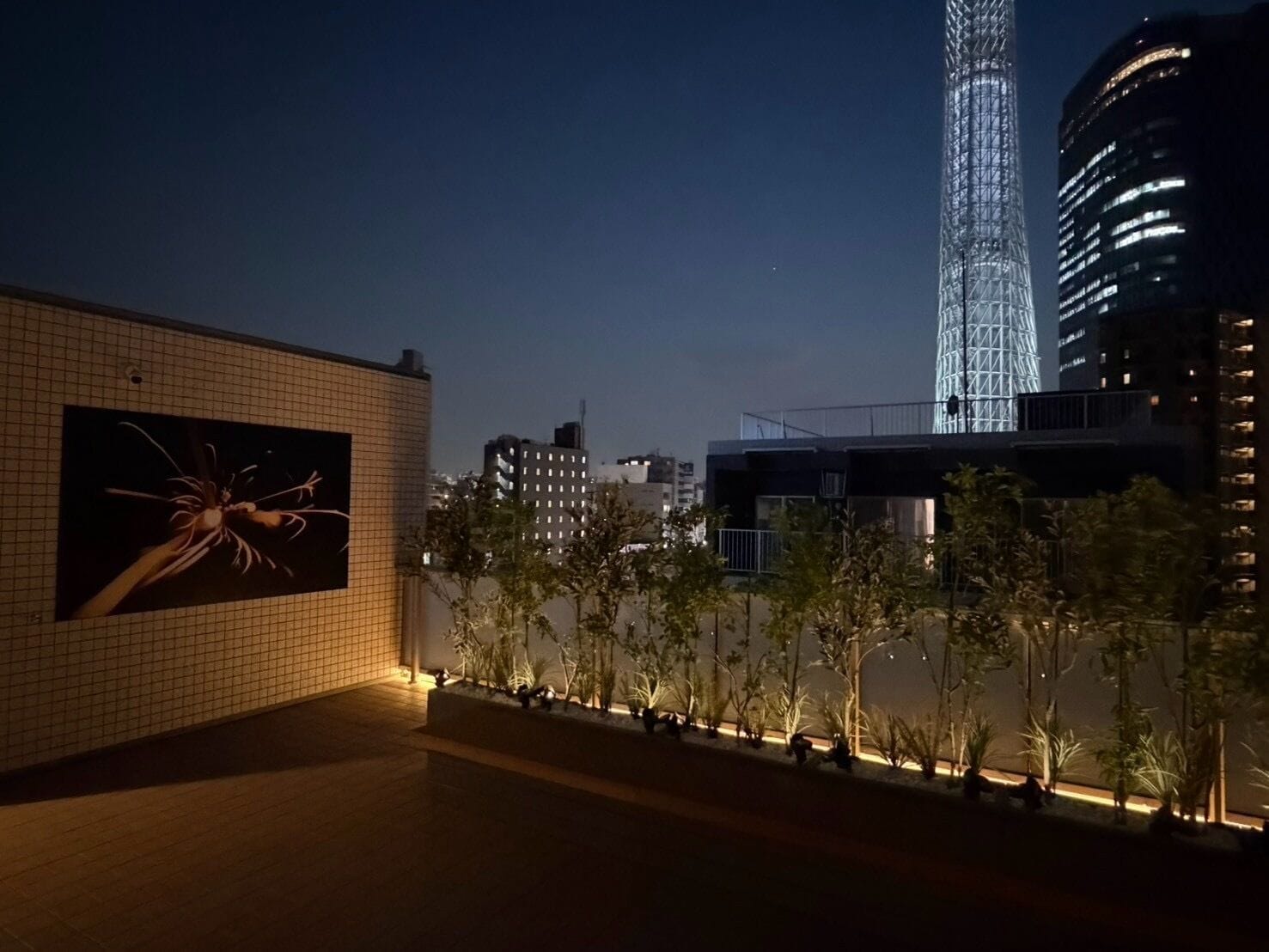 A rooftop terrace with a view of a tall building, a tiled wall with a framed picture, and a row of plants.