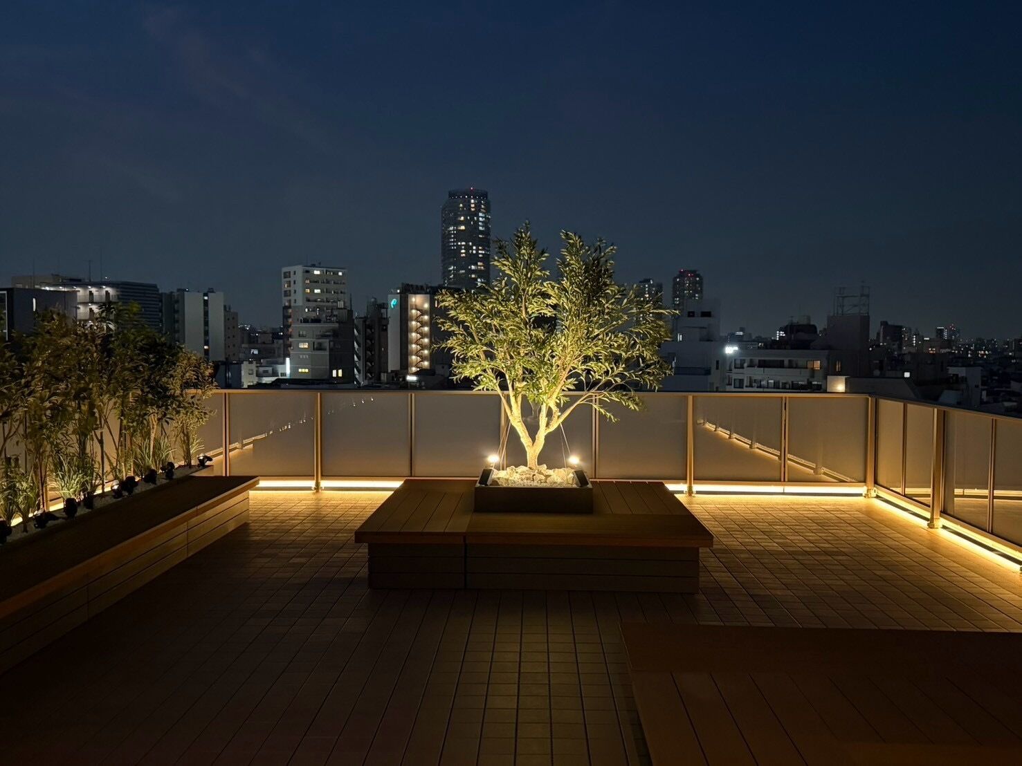 Terraza en la azotea con un árbol en maceta, una banca y vistas a la ciudad de noche.