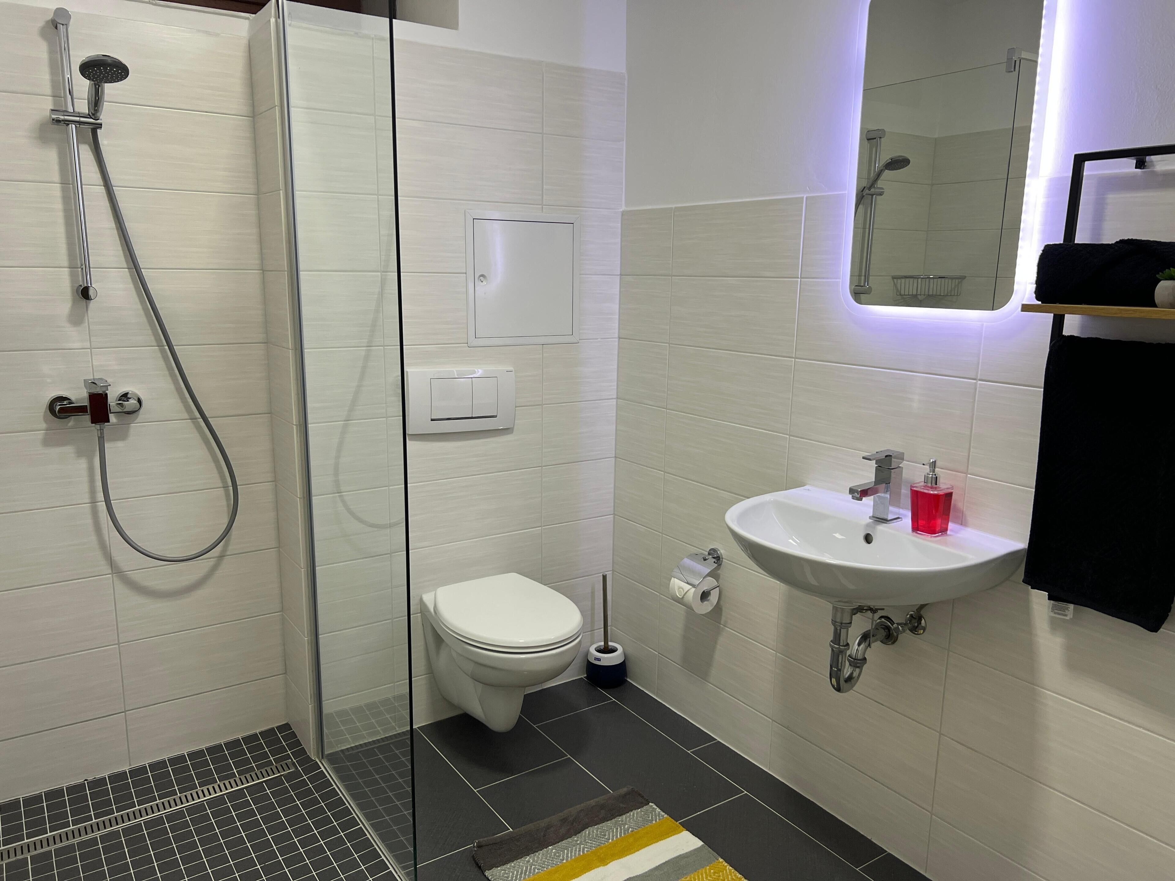 Shower, hair dryer, towels, soap