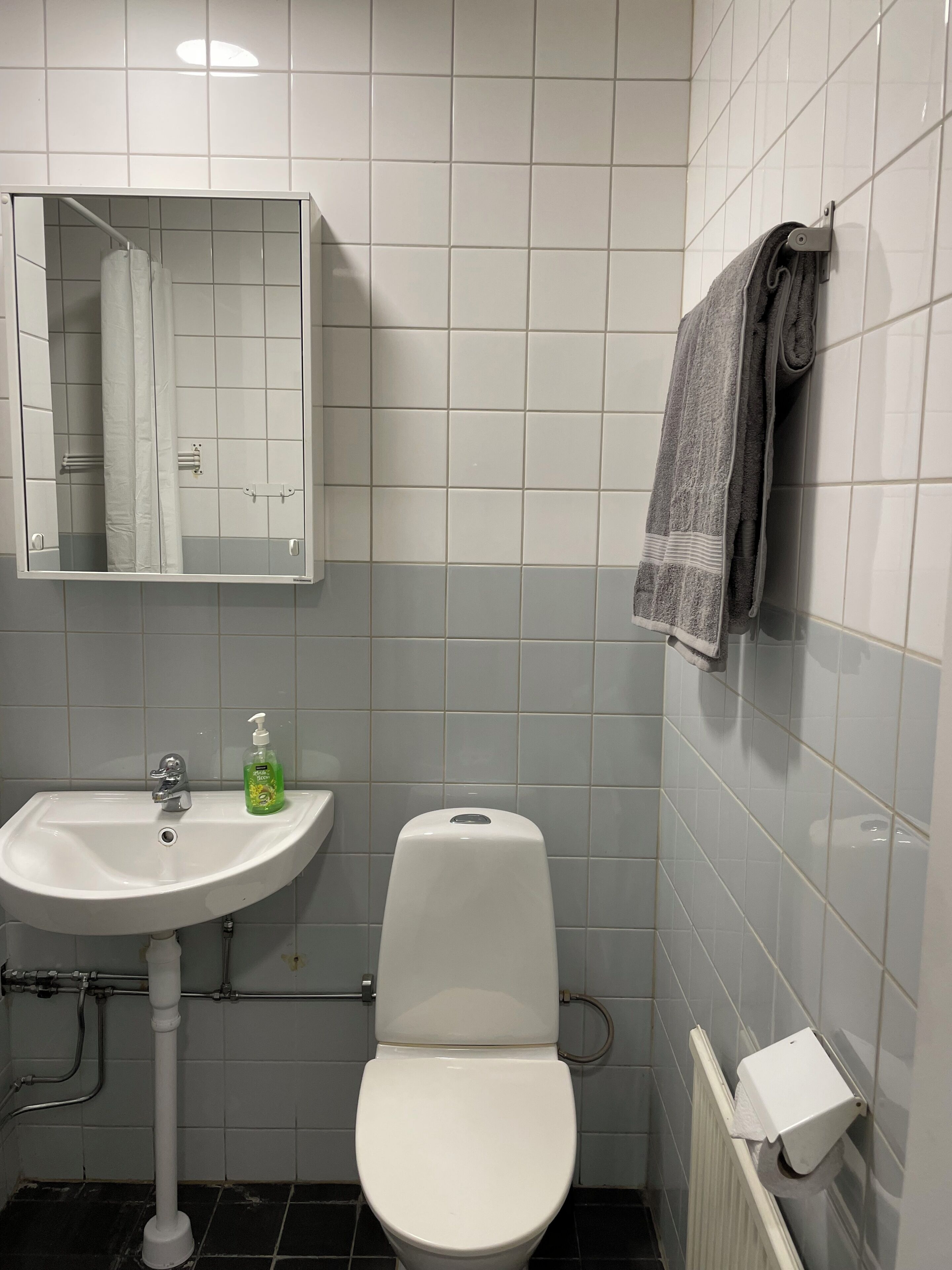 Estudio clásico | Baño | Toallas, jabón y papel higiénico