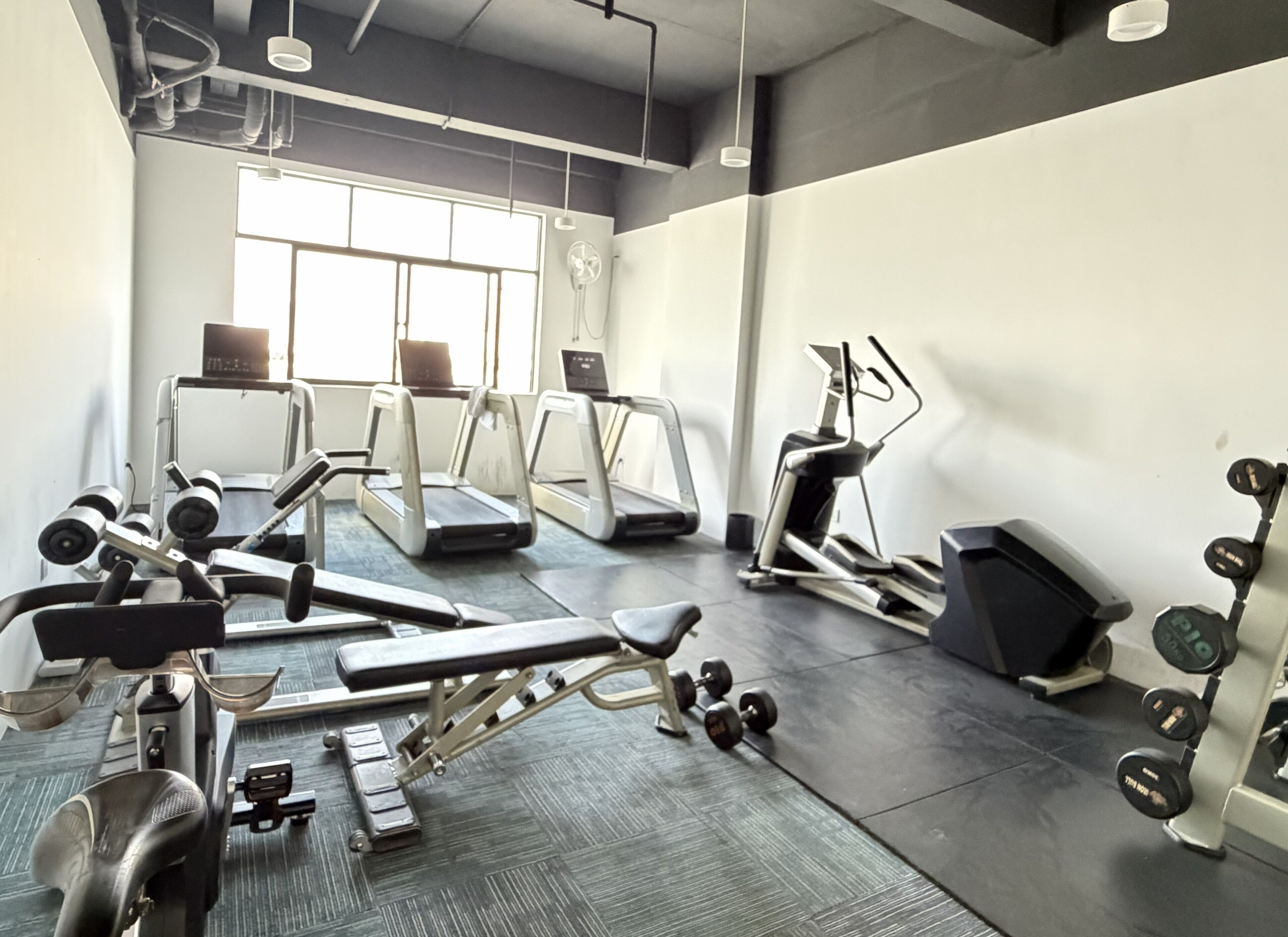 A gym with treadmills, a bench press, dumbbells, and a weight rack.