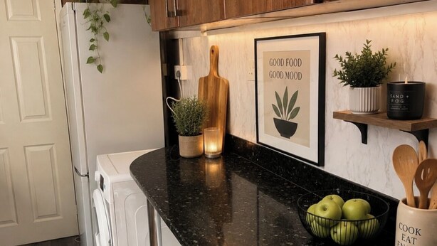 A kitchen with a black granite countertop, wooden cabinets, a white refrigerator, and a potted plant on the wall.