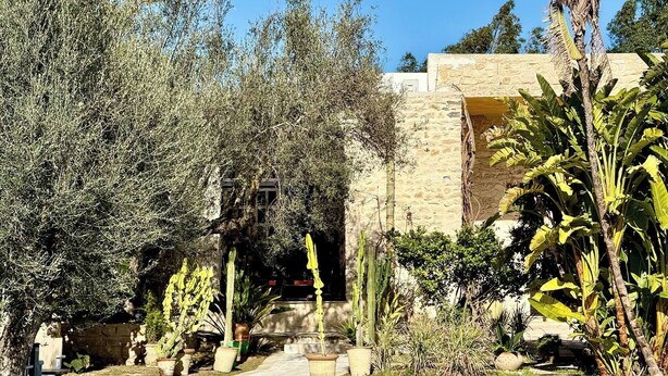 A pool surrounded by various plants and a stone building.