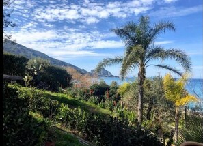 A coastal landscape with a palm tree, dense vegetation, and a mountainous backdrop. - Sea Pool and Relax Cefalù (Cefalù)
