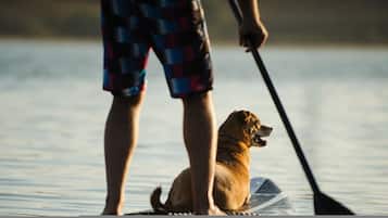 Pet-friendly