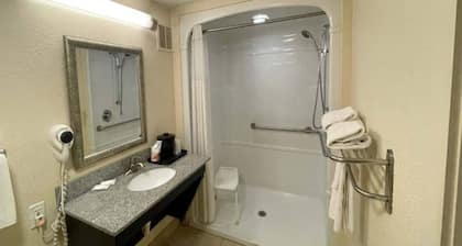 1 King Bed | Non-Smoking, Micfridge