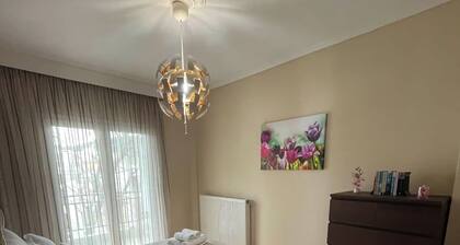 Cozy family apartment near the waterfalls of Edessa