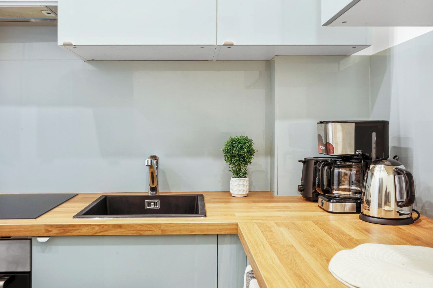 A modern kitchen with a sink, a potted plant, and a coffee maker.