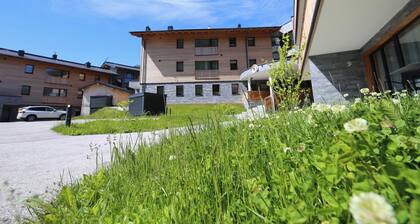 Suite alpine dans la vallée de Rauris