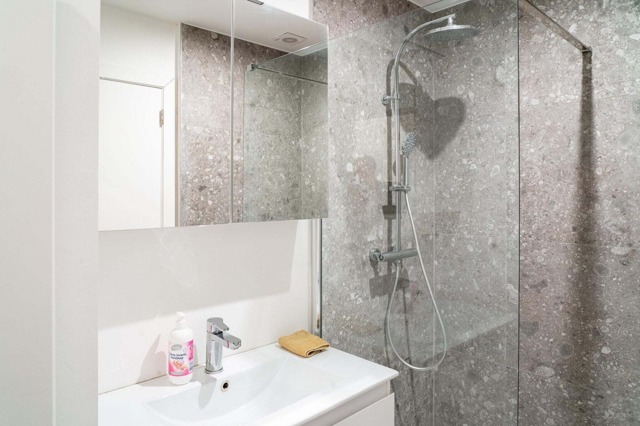 Une salle de bain avec une douche à parois de verre, un lavabo blanc et un miroir.
