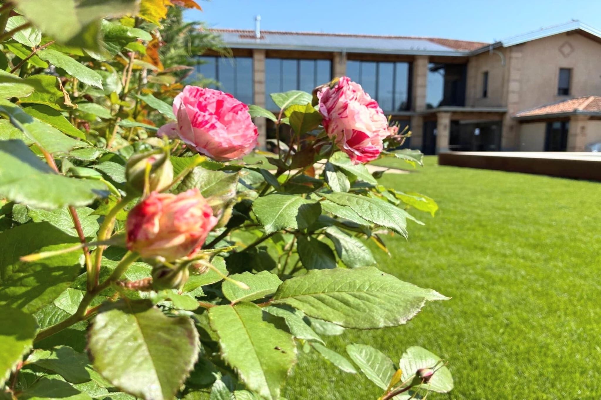 Jardín [verano]