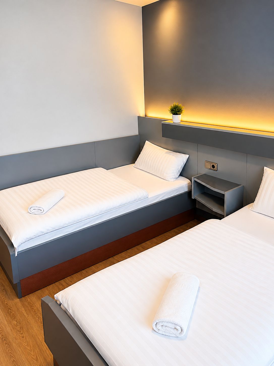 Ein modernes Hotelzimmer mit zwei Betten, einem Nachttisch und einer kleinen Pflanze an der Wand.