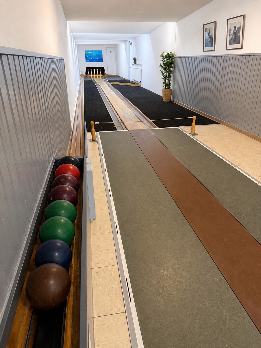 Une salle de bowling avec des pistes, un présentoir à boules de bowling et une plante en pot.