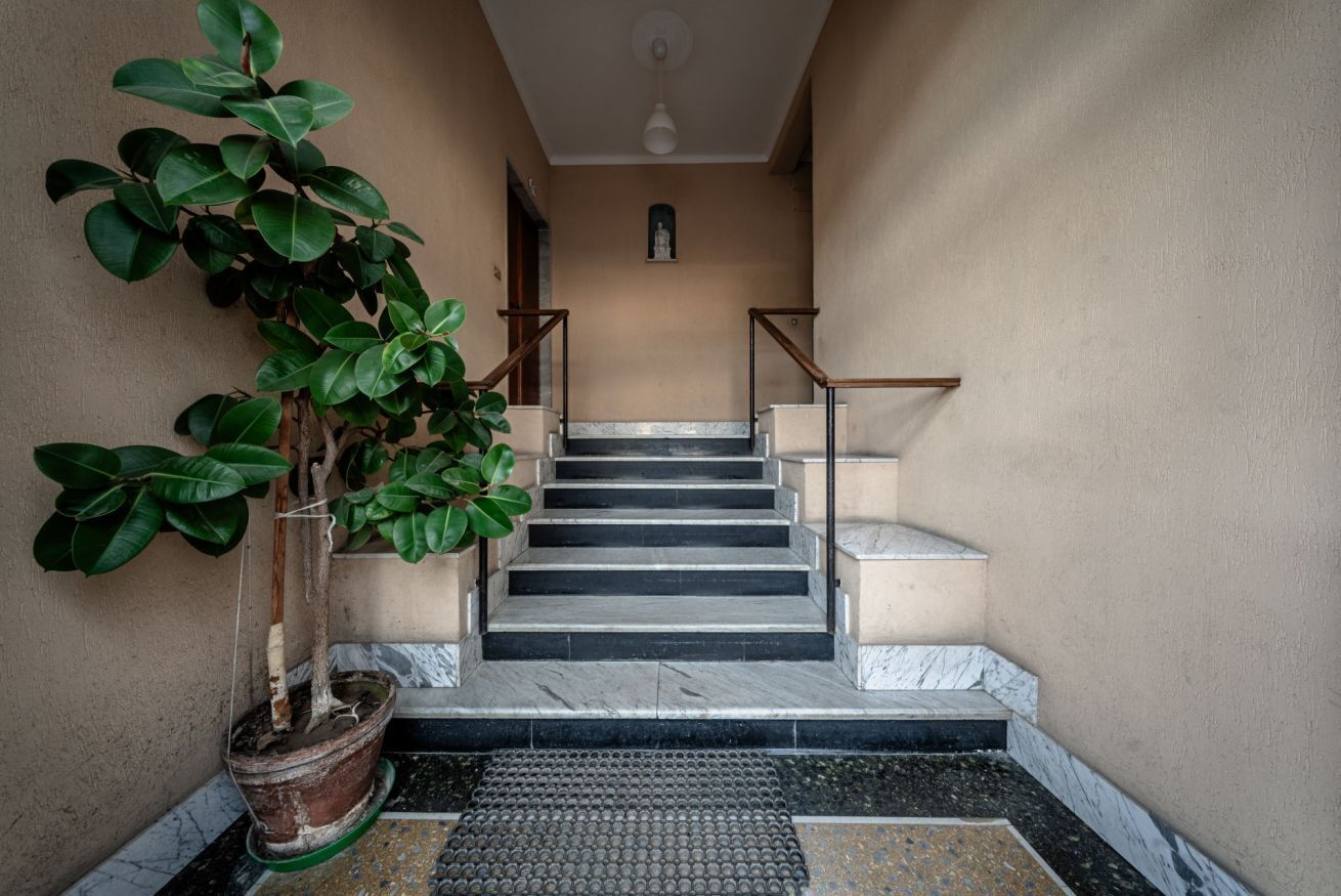 A staircase with marble steps, a potted plant, and a small statue at the top.