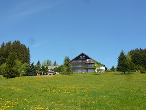Exterior - Bright Brend Apartment with Private Terrace and Green Views (Schönwald im Schwarzwald)