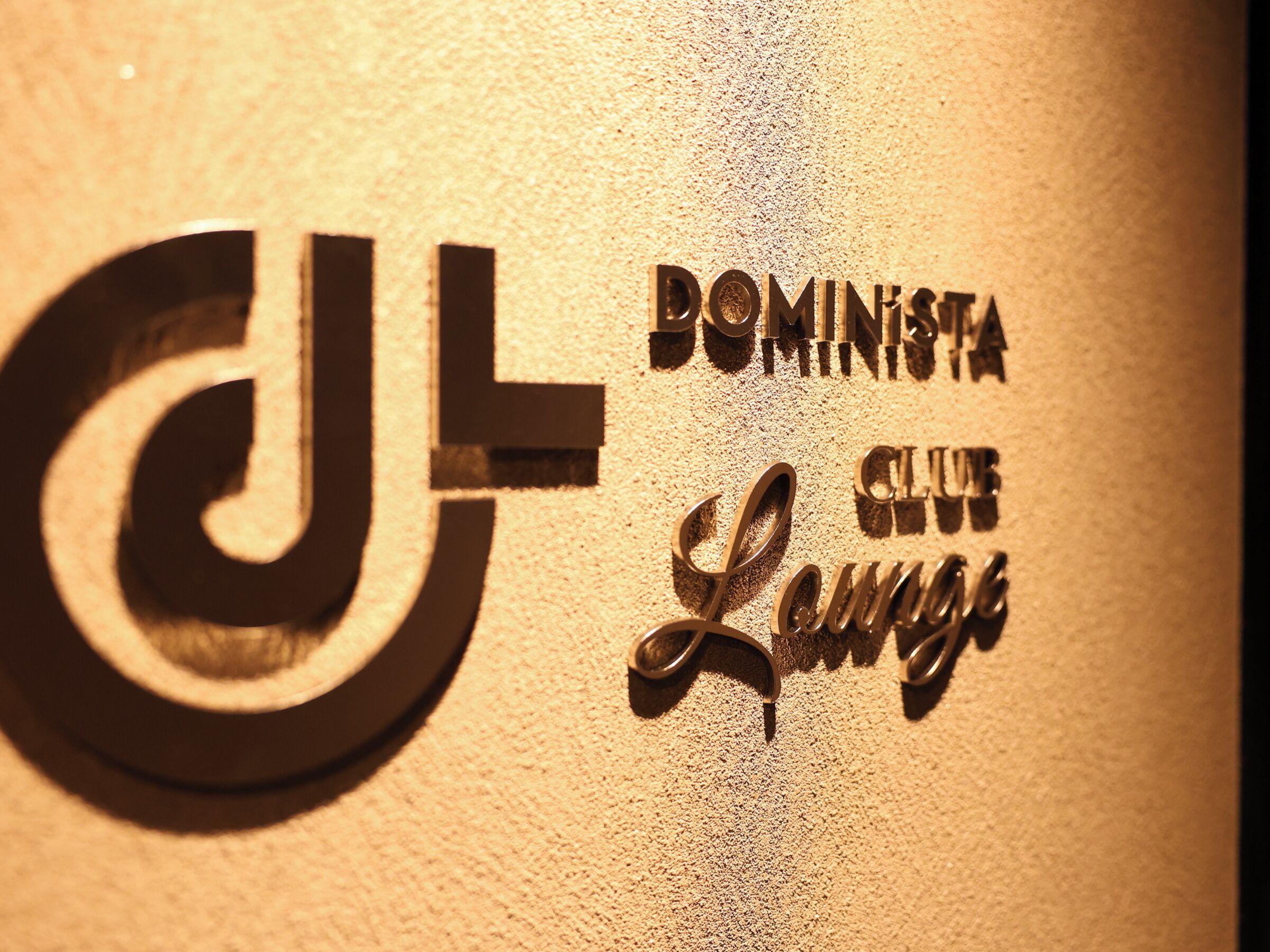 Un logo composé des lettres « TL » et des mots « DOMINISTA CLUB Lounge », le tout sur une surface texturée.
