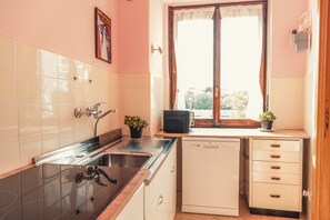 Una cocina compacta con pileta, estufa y lavavajillas, una ventana con cortinas y una pequeña planta en el alféizar.
