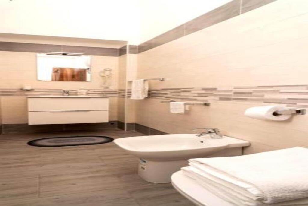 Hair dryer, bidet, towels, toilet paper